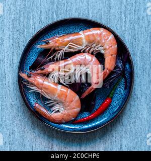 Three boiled shrimp with red hot chilli pepper on a blue plate background, close-up, top view Stock Photo
