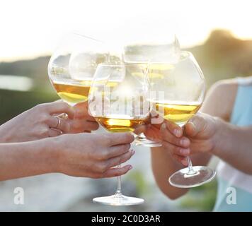 People holding glasses of red wine making a toast Stock Photo