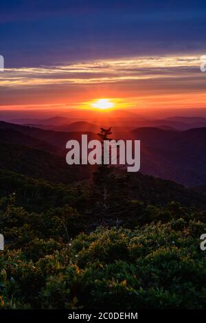 Sun Blue Ridge In the rays of the sunset sun, bald man with glasses with kite in the ...