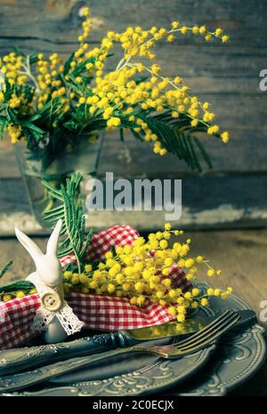 spring time, yellow mimosa flowers Stock Photo