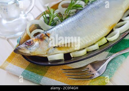 herring Stock Photo