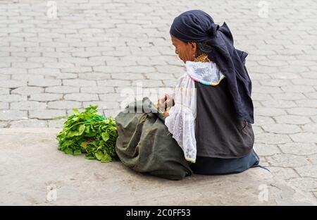 Indigenous senior Ecuadorian Otavalo lady in traditional clothing selling herbs and vegetables on the street and knitting handicraft, Otavalo, Ecuador Stock Photo