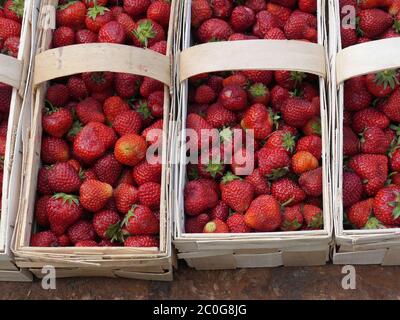 woodchip baskets with fresh strawberries Stock Photo
