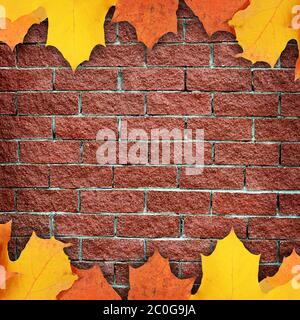 Wall from red brick close up Stock Photo