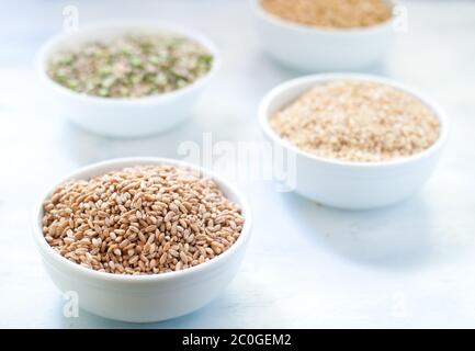 Cereal grains , barley , soybean , rice , millet , spelled Stock Photo