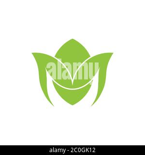 letter m green leaf curves geometric logo vector Stock Vector