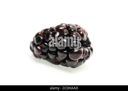Single fresh blackberry isolated on white background. Stock Photo