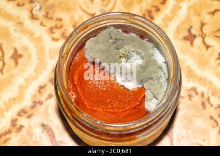 Mold growing on the tomato paste. Close up Stock Photo