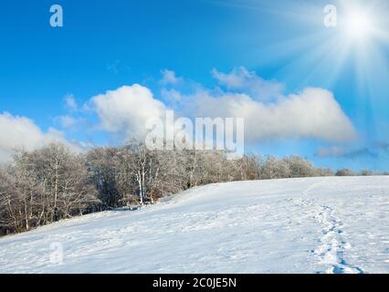First winter snow and mountain beech forest Stock Photo