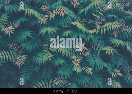 Tropical plants seamless pattern. Spring background with green leaves. Seamless flower and palm tree leaf. View from above. Stock Photo