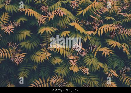 Tropical plants seamless pattern. Spring background with green leaves. Seamless flower and palm tree leaf. View from above. Stock Photo