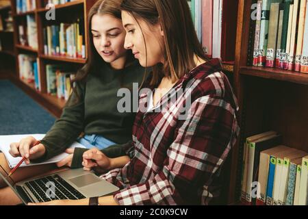 Female students sitting in library with a book and laptop studying together. Two students working on school assignment in the library. Stock Photo