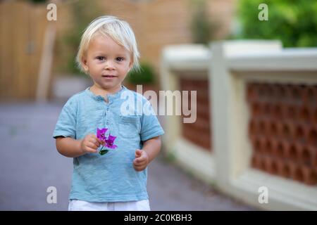 Beautiful portrait of young toddler boy, holding flower, standing next to a stone wall, summertime Stock Photo