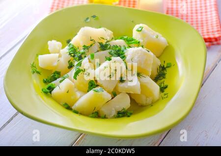 boiled potato with greens in the green plate Stock Photo
