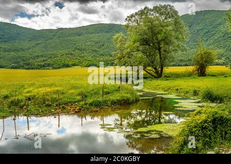 the Zittola stream flows through the meadows of the Montenero peat bog. Montenero Valcocchiara, Molise region, Italy, Europe Stock Photo