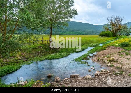 the Zittola stream flows through the meadows of the Montenero peat bog during a rain. Montenero Valcocchiara, Molise region, Italy, Europe Stock Photo