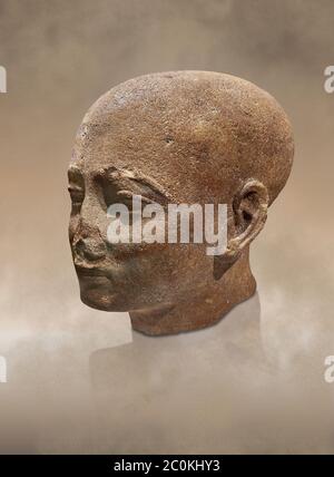 Ancient Egyptian statue shaved head of a priest, New Kingdom, 18th Dynasty, (1390-1353 BC). Egyptian Museum, Turin. Drovetti collection. Cat 3141. Stock Photo