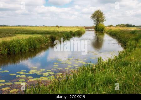The Netherlands a wet country full of ditches and canals, sailing boats and vast plains with grassland, photos taken in Friesland Gaasterland region Stock Photo