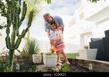 Retirement grandfather and granddaughter in backyard garden together, holding watering can have fun plants. Two generation good time spend outdoor Stock Photo