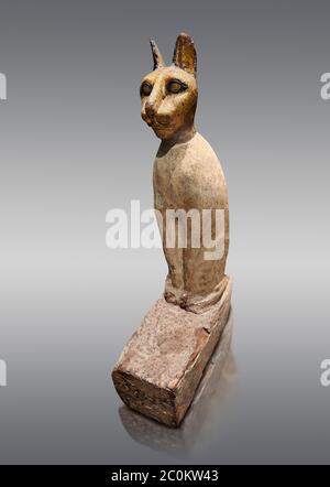 Ancient Egyptian Cat Sarcophagus conating cat mummy, Late to Plolomaic Period, (722-30 BC), Egyptian Museum, Turin.Old Fund Cat 2361. Grey background. Stock Photo