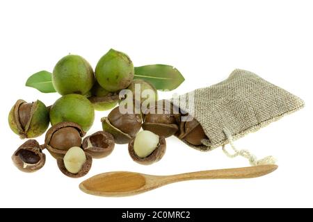 Group of peeled and unpeeled macadamia nuts at white background Stock Photo