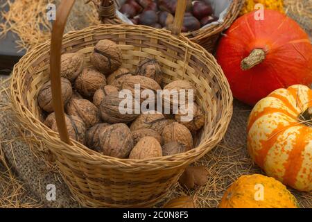 Set of autumn harvest goods Stock Photo