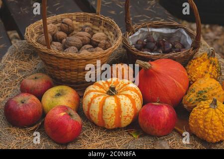 Set of autumn harvest goods Stock Photo