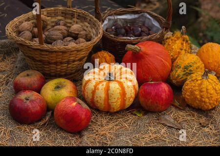 Set of autumn harvest goods Stock Photo