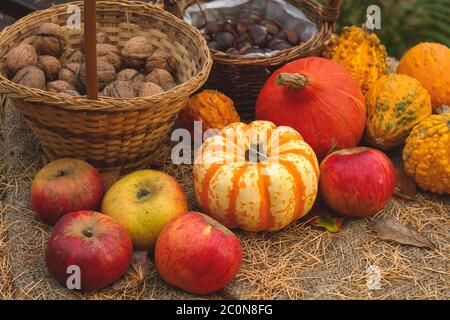Set of autumn harvest goods Stock Photo