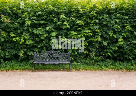 Lonely wooden bench in the park Stock Photo