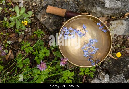 Tibetan singing bowl made of seven metals Stock Photo