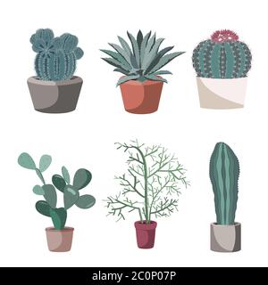 Succulent and cactuses in flower pots. Prickly Pear, tirucalli, agave. Potted plants isolated on white, flat vector set illustration Stock Vector