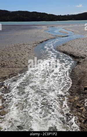 Raglan, beach scene at low tide with river outlet on Wallis Street. State Highway 23.  West Coast North Island, New Zealand.No people. Stock Photo