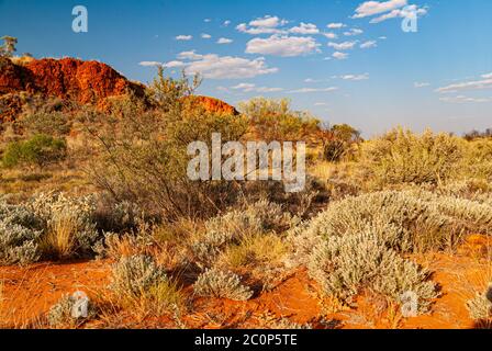 KARLAMILYI NATIONAL PARK, PREVIOUSLY RUDALL RIVER NATIONAL PARK, PILBARA REGION, WESTERN AUSTRALIA, AUSTRALIA Stock Photo