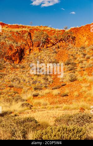 KARLAMILYI NATIONAL PARK, PREVIOUSLY RUDALL RIVER NATIONAL PARK, PILBARA REGION, WESTERN AUSTRALIA, AUSTRALIA Stock Photo