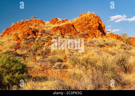 KARLAMILYI NATIONAL PARK, PREVIOUSLY RUDALL RIVER NATIONAL PARK, PILBARA REGION, WESTERN AUSTRALIA, AUSTRALIA Stock Photo