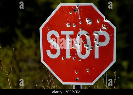 An 8 sided red stop sign shot full of bullet holes, found on a back road in rural Alberta Canada Stock Photo
