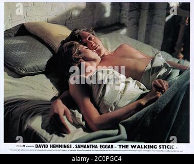 THE WALKING STICK (1970) 002 Stock Photo