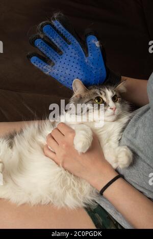 furminator glove