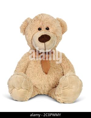 Plush toy bear isolated on white background. Stock Photo