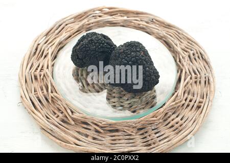 Blacks winter truffles from Umbria called scorzoni Stock Photo