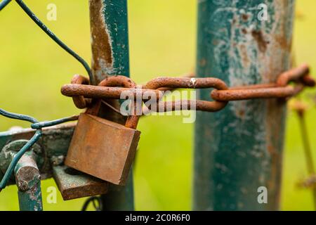 Rusty chain and padlock. Closed garden gate. Metal construction. Stock Photo