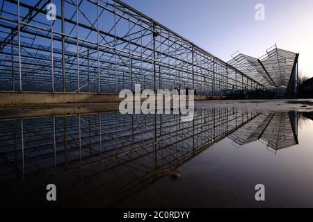 Structural steel structure of a greenhouse with reflection against a clear blue sky in the background Stock Photo