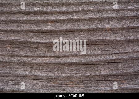 Nice old wood texture Stock Photo