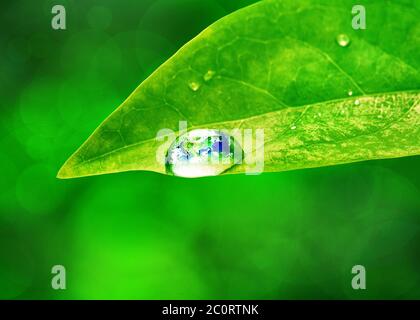 Earth in water drop reflection on green leaf, Environmental concept, Elements of this image furnished by NASA Stock Photo