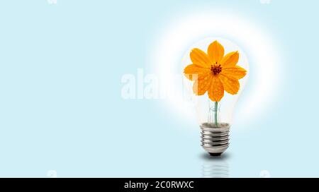 Light bulb with yellow flower inside on light blue background, green energy or environmental energy concept Stock Photo
