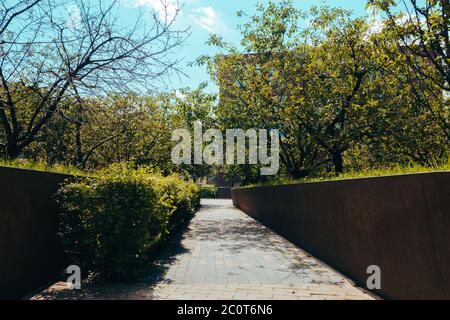 Street photo of a small green urban garden in hot summer, a great place to relax. Selective focus. Stock Photo