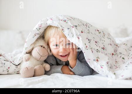 Little toddle boy, playing with teddy toy, hiding under the cover in bed, sunny bedroom Stock Photo