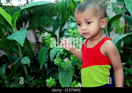 Beautiful little child two years old wearing colorful vest, portrait of Asian baby boy playing in home garden, selective focus with blur. Stock Photo