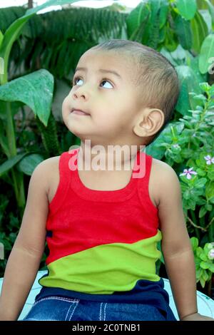 Beautiful little child two years old wearing colorful vest, portrait of Asian baby boy playing in home garden, selective focus with blur. Stock Photo